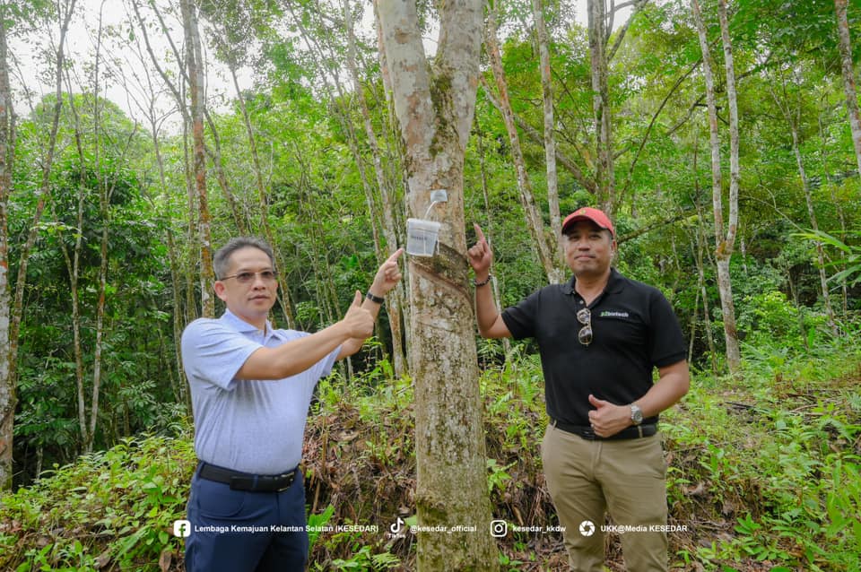 Teknologi P2 TAP, Bakal Beri Pendapatan Tanpa Musim Kepada Penoreh
